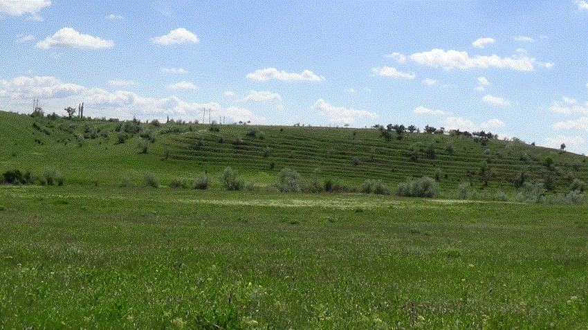старатель