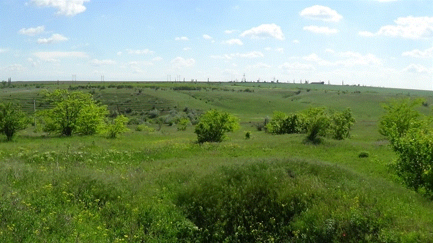 старатель