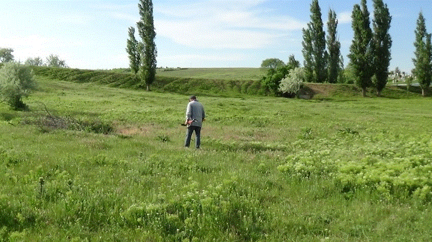старатель